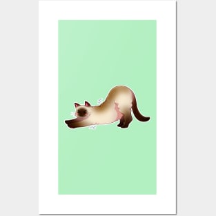 Mocca Siamese Cat V.2 Posters and Art